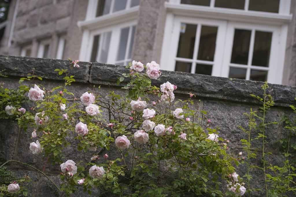 Lys-Na-Greyne Bed & Breakfast Aboyne Ngoại thất bức ảnh